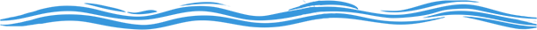 Decorative Section Divider